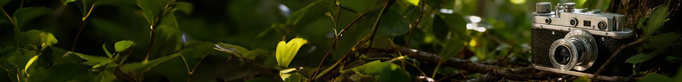 每一条评论，都是一个故事